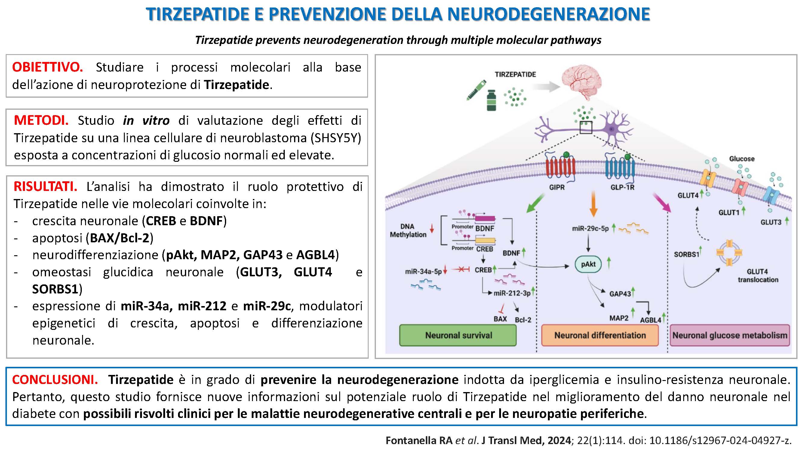 tirzepatide e insulino resistenza Journal Club