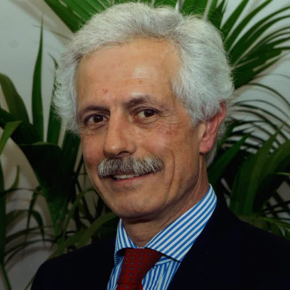 Paolo Cavallo Perin